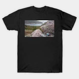 St. John's, Newfoundland T-Shirt